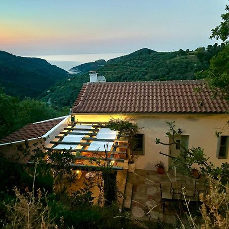 Olive Mill Cottage Skopelos Buitenkant foto